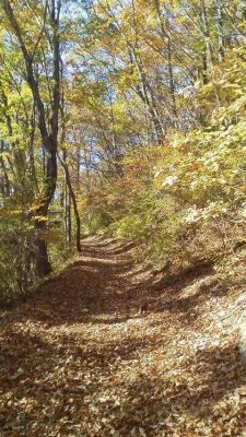 秋の山路